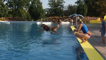 Bild: wel
Melanie Kirchhammer und Sohn Jonas animieren Samy immer wieder, ins Wasser zu springen und das Stöckchen herauszuholen.