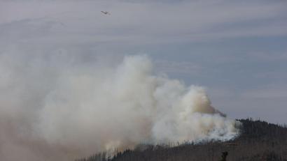 Bild: Matthias Bein/dpa
Vor zwei Jahren hatte der Landkreis Harz den Katastrophenfall wegen eines Brandes am Brocken ausgerufen - jetzt ist dort wieder ein Feuer ausgebrochen.