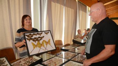Bild: bey
Manfred Ströhle, Zweiter Vorsitzender des Entomologischen Arbeitskreises Weiden (rechts), bestaunt die Exponate, die eine Sammlerin aus dem Nachbarland Tschechien mitgebracht hat.