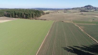 Bild: bey
Am Waldrand (links) sollte laut Planung ein Windrad errichtet werden. Das ist momentan durch die Vorgaben des Regionalen Planungsverbandes Oberpfalz-Nord infrage gestellt.