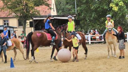 Bild: whü
Beim Pferdeball hatten nicht nur die Zuschauer ihren Spaß, auch die Reiterinnen fanden Gefallen an dem lustigen Wettbewerb. Dabei tat sich die Haflingerstute Primel als Doppeltorschützin hervor.