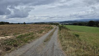 Bild: Lowak
Aus dem Feldweg zwischen dem Freibad Windischeschenbach und der Einmündung in die Gemeindeverbindungstraße nach Scherreuth soll ein Radweg werden.