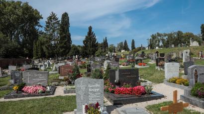 Bild: Wolfgang Steinbacher
Auf dem Katharinenfriedhof waren Grabschänder am Werk. Der Schaden ist enorm. Viele Betroffene werden wohl auf den Kosten sitzen bleiben.