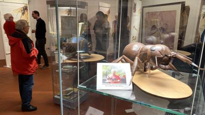 Bild: aub
Die Ausstellung "Ameisen - Faszinierende Insekten" im Stadtmuseum Zehentstadel zeigt nicht nur für Experten interessante Einblicke in die Welt der Ameisen.