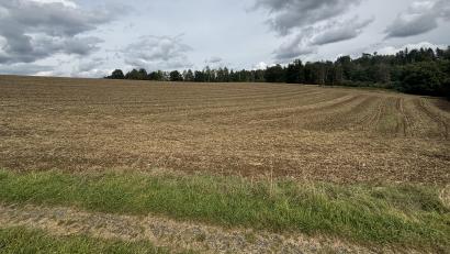 Bild: tri
Oberhalb des Ortseingangs Trautenberg soll die neue Freiflächen-PV-Anlage mit einer Größe von 3,5 Hektar gebaut werden. Hierfür erteilte der Gemeinderat die Genehmigung.