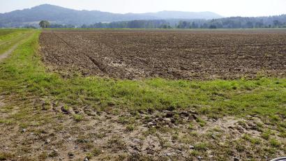 Bild: bkr
Westlich von Altensteinreuth sollen rund 13 Hektar für Sonnenstromgewinnung genutzt werden. Im Hintergrund der Armesberg und unten an seinem Fuß Altensteinreuth.