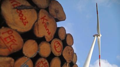 Symbolbild: Oliver Berg
Nachwachsende Rohstoffe wie Holz, Sonnen- und Windenergie spielen eine wichtige Rolle auf dem Weg zu einer karbonfreien Versorgung.