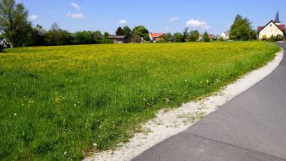 Archivbild: bkr
Zu ungenau waren dem Landratsamt die Umweltinformationen im Änderungsentwurf zum Flächennutzungsplan für das Baugebiet „Nördlich der Marktredwitzer Straße“.