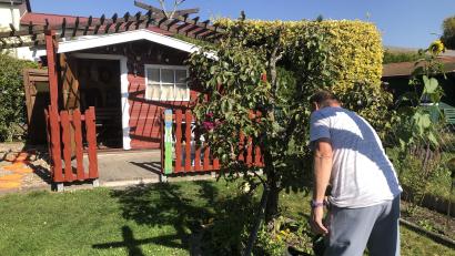 Bild: wro
Das Reich der Eheleute Petra und Günther ist nicht nur wegen des roten Gartenhäuschens ein idyllischer Ort.
