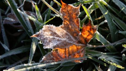 Bild: dpa
Der Herbst ist da!