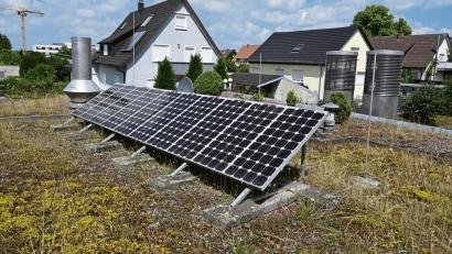 Bild: Bernd Weißbrod/dpa
Damit die Solarmodule nicht verschattet werden, sollten Pflanzen auf Solargründächern nicht höher als 30 Zentimeter wachsen.