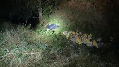 Bild: PI Neustadt/WN
Da staunten die Polizeibeamten nicht schlecht, als sie am Sonntagabend 20 „Netto“-Plastiktüten an Katzenstreu an einem Weiher fanden.