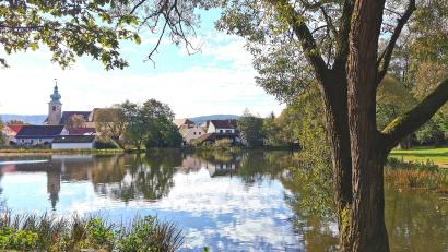 Bild: Portner
Die Marktweiheranlage im Herzen von Oberviechtach bekommt mehr Aufenthaltsqualität. Vor Projektbeginn wird abgefischt und das Wasser abgelassen.