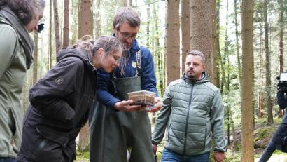 Bild: kaz
Rangerin Cornelia Greiner sieht sich die Muscheln an, die Daniel Höllering und Michal Blaha von der Aufzuchtstation Huschermühle mitgebracht haben.
