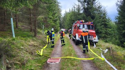 Archivbild: rti
Bei dieser Waldbrandübung 2023 übten tschechische und deutsche Feuerwehrleute im Kaiserwald.