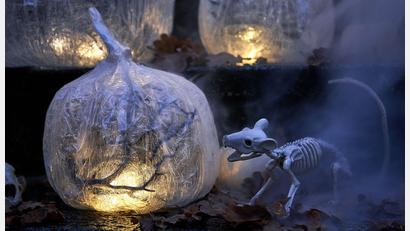 Bild: DIY Academy
Herrlich gruselig: der Kürbis aus Frischhaltefolie und Paketschnur.