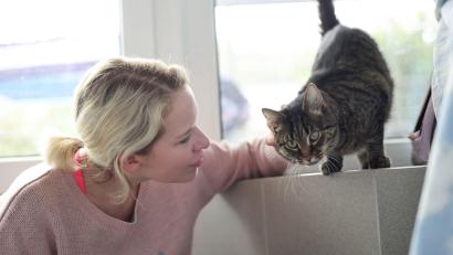 Bild: Daniel Löb/dpa
Weil die Festangestellten in Tierheimen voll ausgelastet sind, übernehmen ehrenamtliche Katzenstreichlerinnen wie Christina Haas das Kraulen und Spielen.