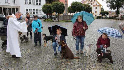 Bild: kro
Stadtpfarrer Dr. Thomas Vogl bei der Tiersegnung vor der Basilika.