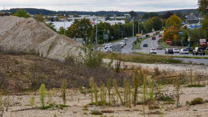 Bild: Stephan Huber
Das ehemalige Zinkl-Areal in Amberg. Rechts im Bild die Nürnberger Straße (Bundesstraße 85) Richtung Sulzbach-Rosenberg.