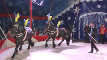 Bild: kro
Renado Kübler mit den beiden Pferden Aragon und Amigo im Zirkus-Rondell
