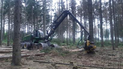 Bild: Dominik Pelzer/exb
Der Harvester bei der Arbeit: Bei Neusorg erledigt die Forst Ebnath GmbH derzeit Waldarbeiten.
