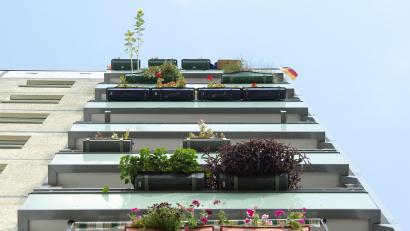 Symbolbild: Maurizio Gambarini /dpa
Eine Frau soll Blumentöpfe auf ihre Nachbarn geworfen haben.