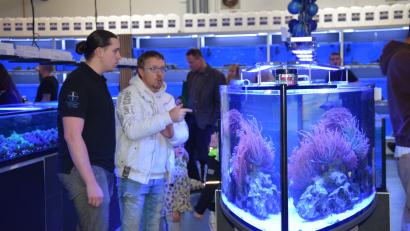 Bild: bö
Seltene Korallen und ihre Bewohnen laden beim Rundgang durch die Aquarien-Straße bei Plankton-Plus-Aquaristik in Hohenburg zum Bestaunen ein.