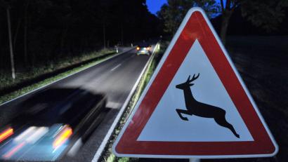 Symbolbild: Martin Schutt
Eine Vollbremsung wegen eines Wildwechsels führte bei Immenstetten zu einem Auffahrunfall mit zwei Verletzten.