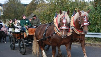Bild: wro
Blickfang beim Wendelinsritt war die von Wolfgang und Thomas Brunner gelenkte Kutsche aus dem Stich'n-Hof in Plößberg bei Immenreuth.