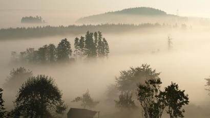 Bild: Benkhardt
Beim Gruseln, erklärt Benkhardt, kommt es auf Tageszeit und Wetter an – wie hier, wo der Nebel bei Erbendorf für Mystik sorgt.