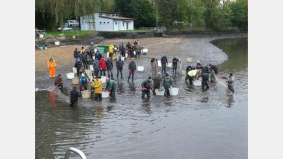 Bild: rn
Rund 70 Mitglieder des Sportanglervereins beteiligen sich am Abfischen des Rußweihers. Der Fischzug hat auch viele positive „Nebeneffekte“.