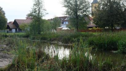 Bild: do
Im Bereich Tremmersdorf ähnelt das Flussbett der Creußen einer grünen Pflanzenoase. Der Wunsch nach regelmäßigen und vollständigen Entlandungen als Zwischenlösung bis zum Start des ökologischen Umbaues stößt allerdings bei der Fachbehörde auf viele Bedenken.