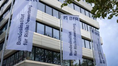 Bild: Monika Skolimowska/dpa
Laut dem Bundesinstitut für Risikobewertung sind 5 bis 10 Gramm Koffein-Pulver bereits potenziell tödlich. (Archivbild)