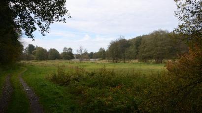 Bild: ak
Auf dieser Auenlandschaft bei Haidenaab werden künftig Galloway-Rinder für mehr Artenvielfalt sorgen