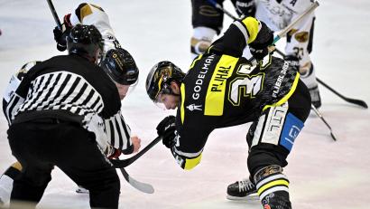 Bild: Hubert Ziegler
Tomas Plihal (rechts) vom ERSC Amberg trug in der vergangenen Saison noch das Erdinger Trikot.