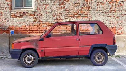 Bild: Petra Hartl
Ein Auto, 36 Jahre alt und bereits mit Moos besetzt – aber immer noch im Einsatz. Das Auto der Autoren Regina und Eckhard Henscheid ist ein echter Hingucker.