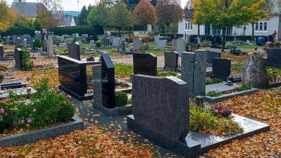 Bild: fpoz
Für den Friedhof Waldershof soll ein strukturierter Maßnahmenplan erstellt werden. Ideen zur Pflege und Gestaltung lieferte in der Stadtratssitzung Landschaftsarchitektin Marion Schlichtiger.