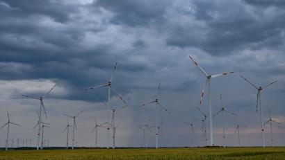 Symbolbild: Patrick Pleul/dpa
Der Stadtrat in Eschenbach möchte prüfen lassen, ob im Unteren Stadtwald Windkraftanlagen errichtet werden können. Dort ist jedoch der Seeadler beheimatet.