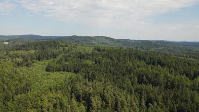 Bild: Lutz Ihlow/exb
Werden im Bergwaldgebiet „Kogeri“ bei Flossenbürg bald Windräder stehen? Lutz Ihlow, Vorsitzender der „Bürgerinitiative zum Schutz von Mensch und Natur in der Gemeinde Plößberg“, hat das Foto aus südlicher Richtung aufgenommen. Hinten rechts am Horizont die Burgruine Flossenbürg, die laut dem Bayerischen Landesamt für Denkmalpflege nicht landschaftsprägend genug ist, um Windkraftanlagen zu verhindern.