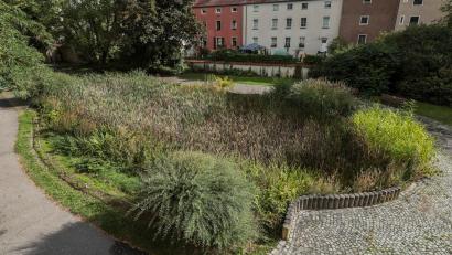 Bild: Wolfgang Steinbacher
Der Teich im Stadtgraben soll ein Aktion-Wasserspielplatz werden. Das führt zu heftigen Diskussionen.