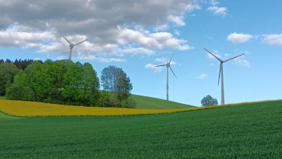 Archivbild: as
Deutlich mehr Windkraftanlagen als bisher werden am Horizont im Landkreis Tirschenreuth auftauchen. Der Regionale Planungsverband sieht in einem Entwurf die Bündelung in Vorranggebieten vor. Auch am Grenzkamm bei Ellenfeld (Bild) soll eine Erweiterung möglich sein.