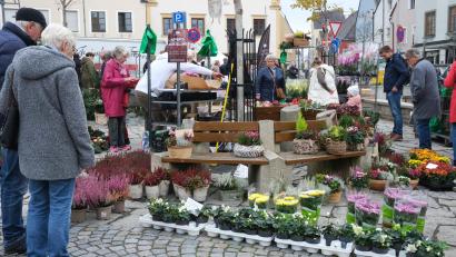 Bild: Hirsch
Der untere Marktplatz in Schwandorf gleicht am Sonntag einer kleinen Gartenschau.