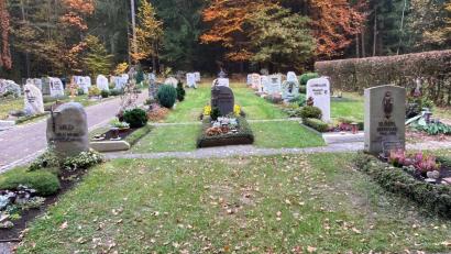 Bild: cv
Wenn Gräber aufgelassen werden, werden die leergewordenen Grabstellen nicht unbedingt schnell wieder verkauft. Lücken wie am Friedhof in Nabburg sind normal. Ob die Zahl derer schon überhand nimmt und Konzepte erdacht werden müssen, ist nicht überall gleich.