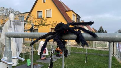 Bild: zre
Diese schwarze Spinne mit roten Augen begrüßt Besucher an der Katharinenfriedhofstraße 38.