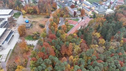 Bild: Gustl Beer
Mit der Rodung der Flächen unterhalb des Gymnasiums Neustadt/WN ist der Startschuss zum Bau des neuen Hallenbades gefallen. Das alte Hallenbad soll einmal einem Neubau für die Realschule weichen