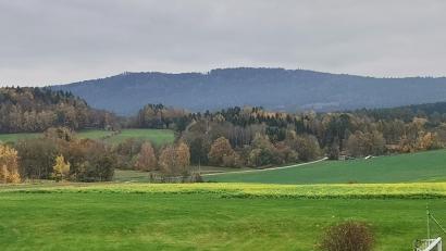 Bild: amö
Aus Richtung Winklarn ist im Hintergrund das zusammenhängende und nach oben hin steil ansteigende Waldgebiet am Bergmassiv des Frauensteins sichtbar. Der Marktrat Winklarn spricht sich gegen die Ausweisung eines Windkraft-Vorranggebietes aus.