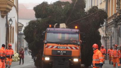 Bild: Wolfgang Steinbacher
Der Weihnachtsbaum wird auf dem Marktplatz aufgestellt.
