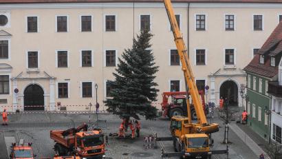 Bild: Wolfgang Steinbacher
Auch der Malteserplatz hat wieder seinen Weihnachtsbaum bekommen.