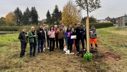 Bild: Lukas Frey
Ein nachhaltiges Zeichen für die Zukunft: Unternehmensnetzwerk BNI Focus Weiden pflanzt einen Baum, ein Geschenk an die Stadt Weiden.