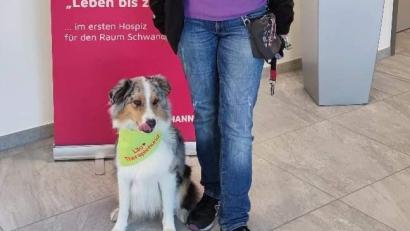 Bild: u
Licht und Herzenswärme brachte die Therapiehündin Lilo vom Obersee einer Patientin im Bruder-Gerhard-Hospiz in Schwandorf. Mit im Bild ihre Besitzerin - die Hospizbegleiterin und Hundeführerin Brigitte Reichenbach.